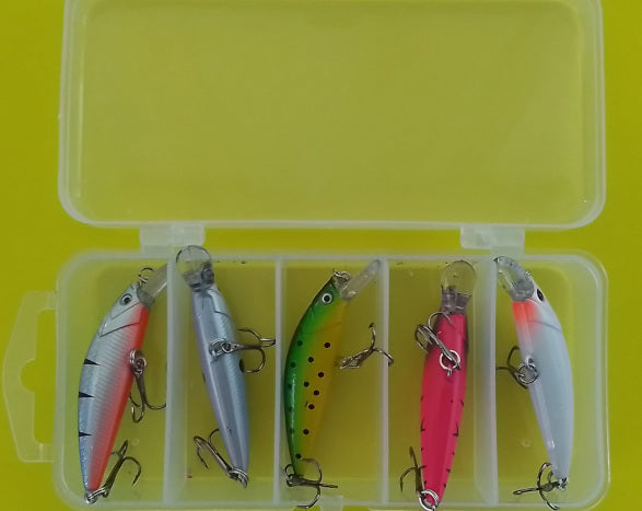 Premium Hard-Body Crankbait Lure Set (5 Pack)