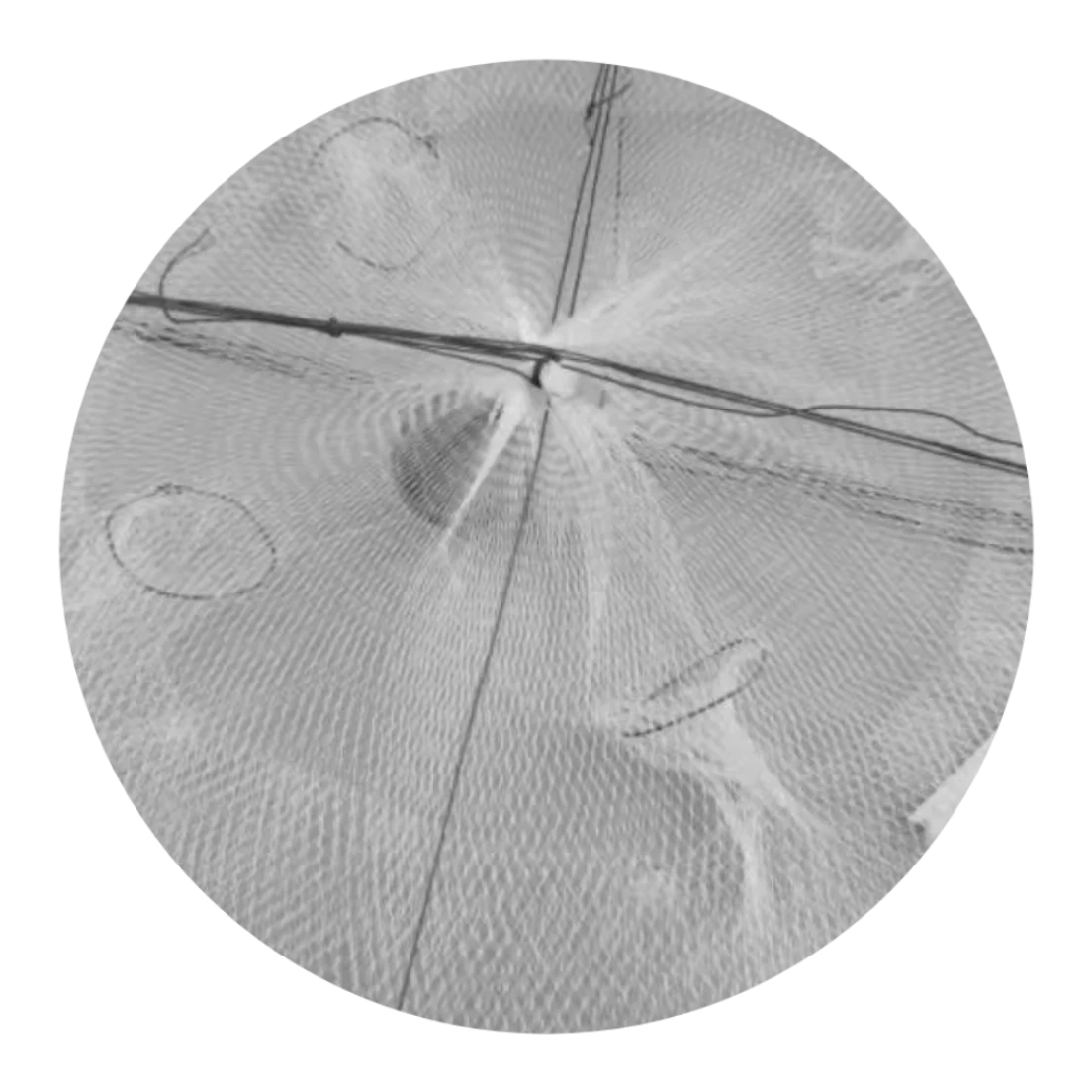 Folding Shrimp/Yabbie trap (4 entrance)