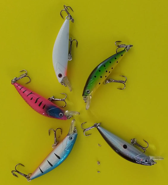 Premium Hard-Body Crankbait Lure Set (5 Pack)