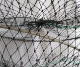 Round Heavy-Duty Collapsible Crab Pot (60cm × 30cm)