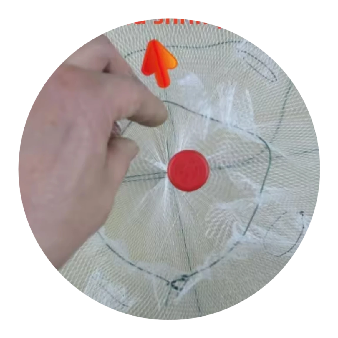 Folding Shrimp/Yabbie trap (4 entrance)